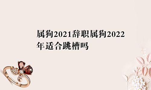 属狗2021辞职属狗2022年适合跳槽吗