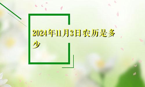 2024年11月3日农历是多少