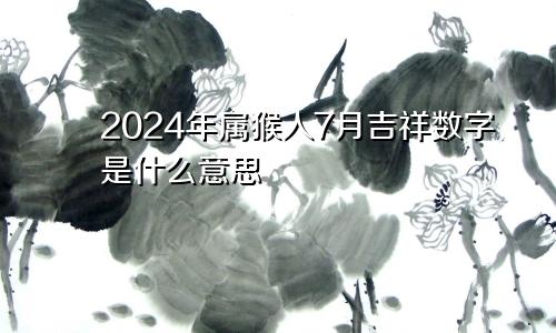 2024年属猴人7月吉祥数字是什么意思