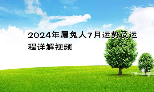 2024年属兔人7月运势及运程详解视频