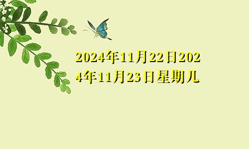 2024年11月22日2024年11月23日星期几