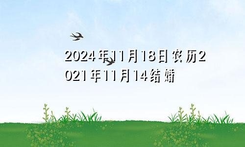 2024年11月18日农历2021年11月14结婚