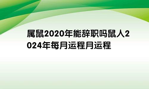 属鼠2020年能辞职吗鼠人2024年每月运程月运程