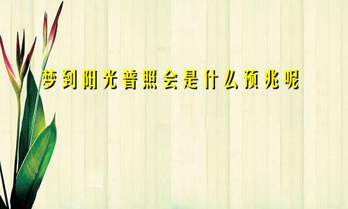 梦到阳光普照会是什么预兆呢