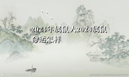 2024年属鼠人2024属鼠命运怎样