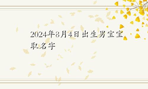 2024年8月4日出生男宝宝取名字