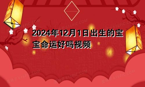 2024年12月1日出生的宝宝命运好吗视频