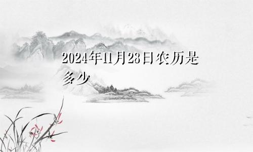 2024年11月28日农历是多少