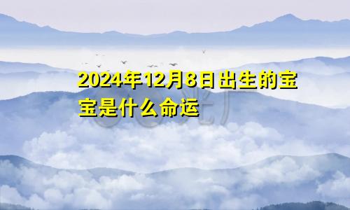 2024年12月8日出生的宝宝是什么命运