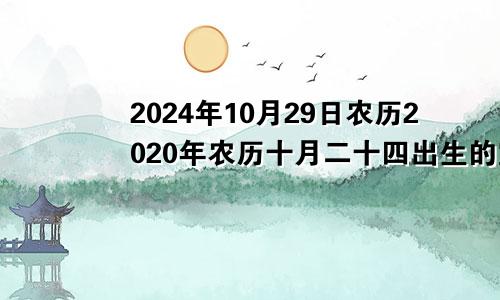 2024年10月29日农历2020年农历十月二十四出生的宝宝