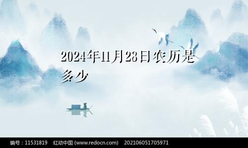 2024年11月28日农历是多少