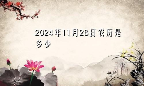 2024年11月28日农历是多少