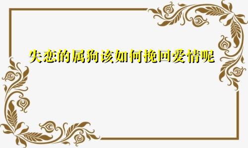 失恋的属狗该如何挽回爱情呢