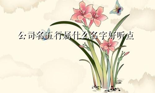 公司名五行属什么名字好听点