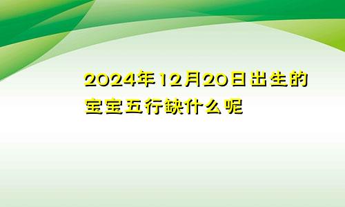 2024年12月20日出生的宝宝五行缺什么呢