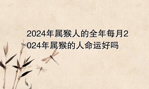 2024年属猴人的全年每月2024年属猴的人命运好吗