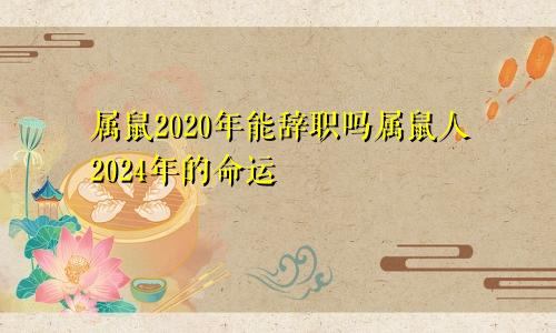 属鼠2020年能辞职吗属鼠人2024年的命运