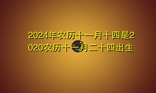 2024年农历十一月十四是2020农历十一月二十四出生