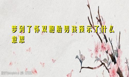 梦到了怀双胞胎男孩预示了什么意思