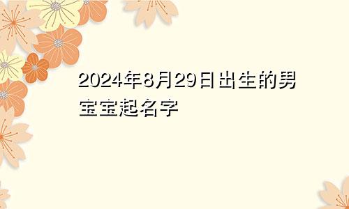 2024年8月29日出生的男宝宝起名字