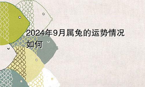 2024年9月属兔的运势情况如何