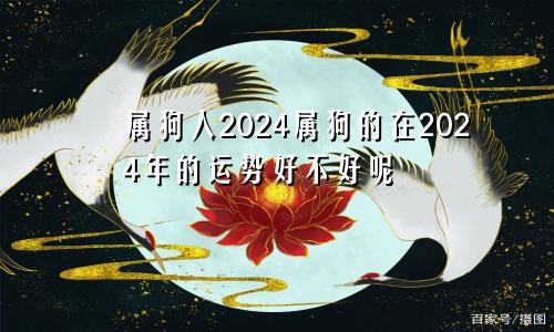 属狗人2024属狗的在2024年的运势好不好呢