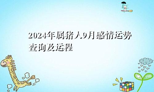 2024年属猪人9月感情运势查询及运程