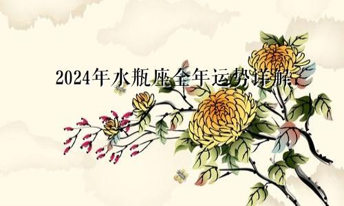 2024年水瓶座全年运势详解