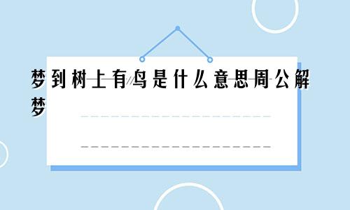 梦到树上有鸟是什么意思周公解梦