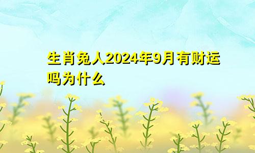 生肖兔人2024年9月有财运吗为什么