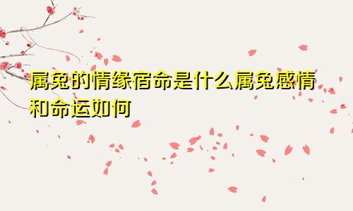 属兔的情缘宿命是什么属兔感情和命运如何