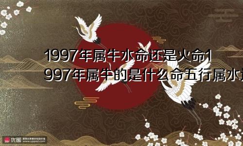 1997年属牛水命还是火命1997年属牛的是什么命五行属水还是属火