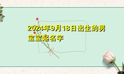 2024年9月18日出生的男宝宝起名字