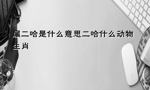 属二哈是什么意思二哈什么动物生肖