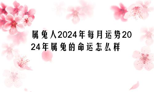 属兔人2024年每月运势2024年属兔的命运怎么样