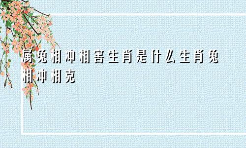 属兔相冲相害生肖是什么生肖兔相冲相克