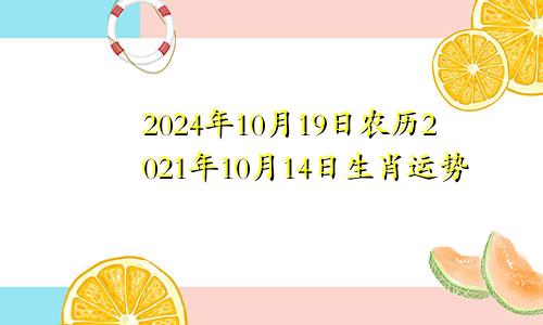 2024年10月19日农历2021年10月14日生肖运势